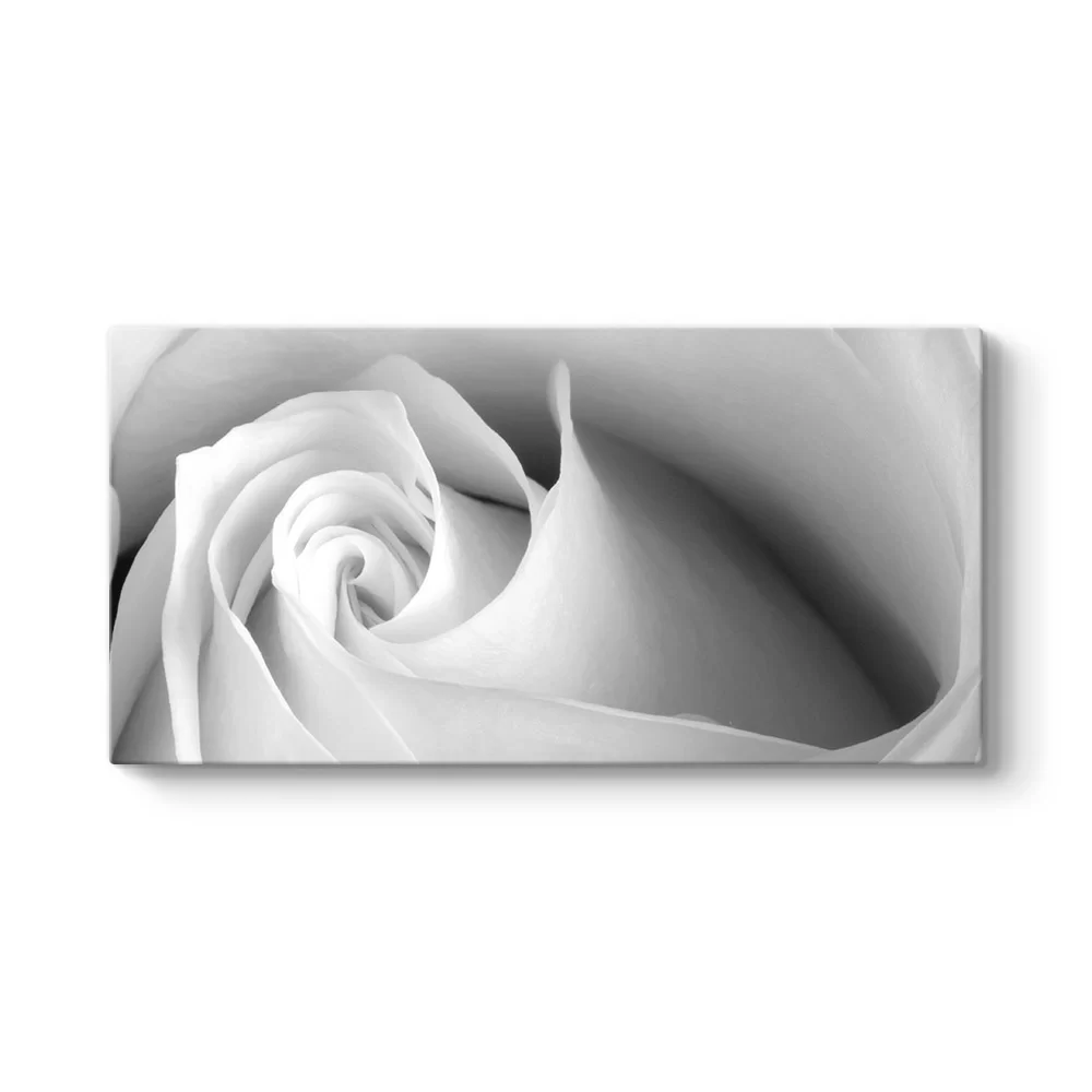 White Rose Tablosu - Model 5